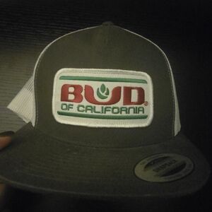 Bud Of California White And Gray Mesh Hat
